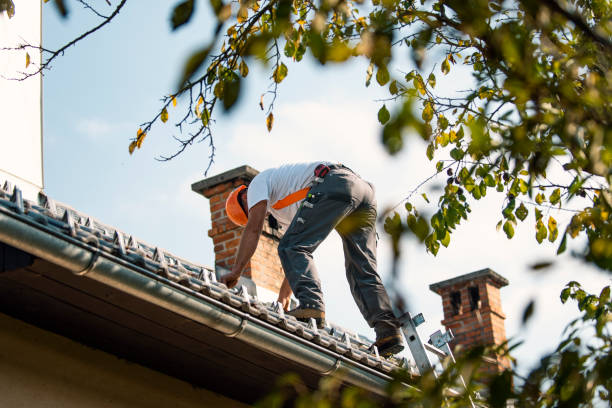 Best Metal Roofing Contractor  in Trenton, NJ