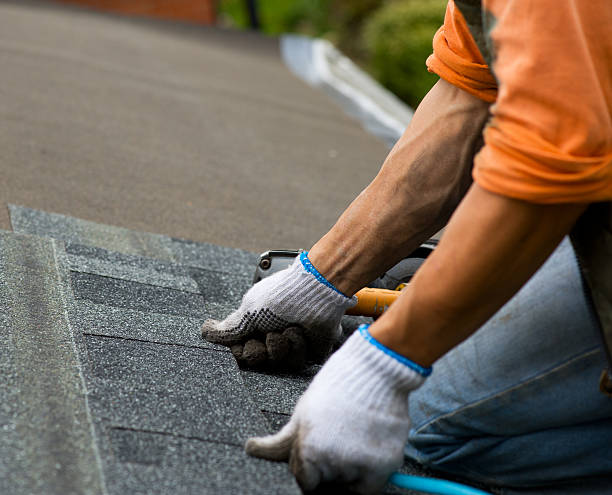 Best Roof Leak Repair  in Trenton, NJ