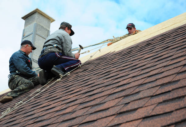 Best Flat Roof Repair Services  in Trenton, NJ